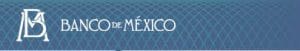 BMLogo BMLogo