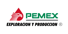 Pemex 2010
