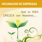 Tipos de Incubadora de empresas