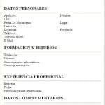 curriculum-vitae