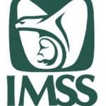 imss-252x300
