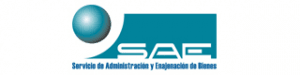 Subasta de SAE