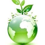 Biocombustibles México